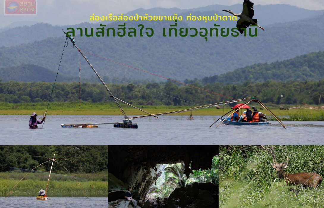 ล่องเรือส่องป่าห้วยขาแข้ง ท่องหุบป่าตาด ลานสักฮีลใจ เที่ยวอุทัยธานี