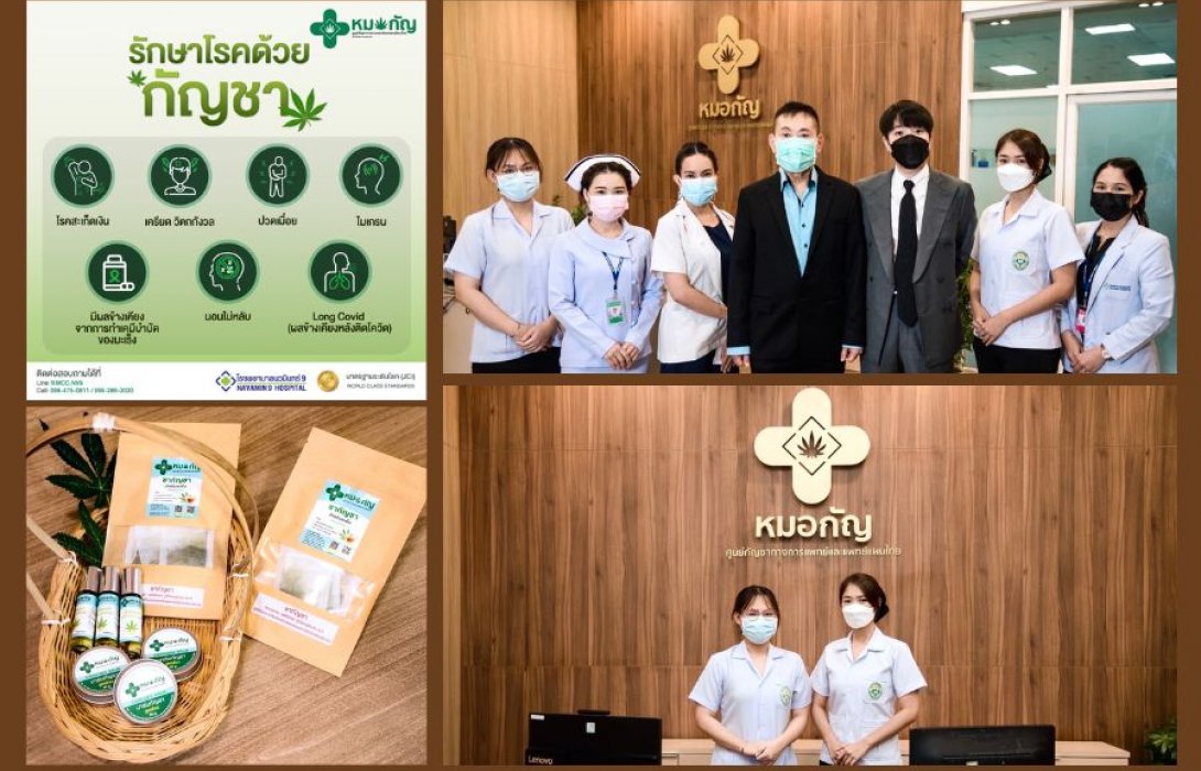 โรงพยาบาลนวมินทร์ 9 เปิดตัว “หมอกัญ” (Doctor Gan) ศูนย์กัญชาทางการแพทย์และการแพทย์แผนไทย