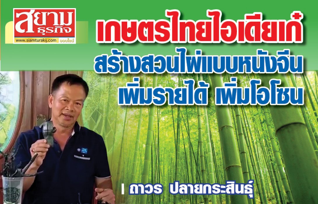 เกษตรไทยไอเดียเก๋ สร้างสวนไผ่แบบหนังจีน เพิ่มรายได้ เพิ่มโอโซน