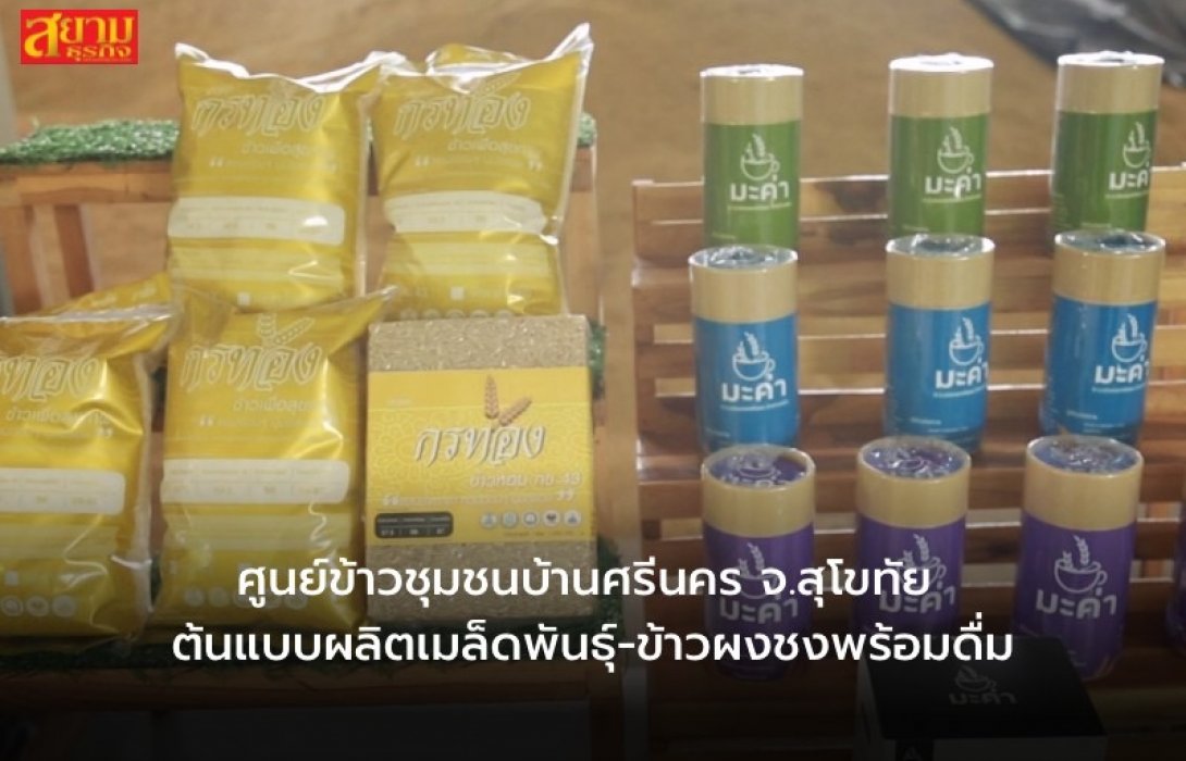 ศูนย์ข้าวชุมชนบ้านศรีนคร จ.สุโขทัย ต้นแบบผลิตเมล็ดพันธุ์-ข้าวผงชงพร้อมดื่ม