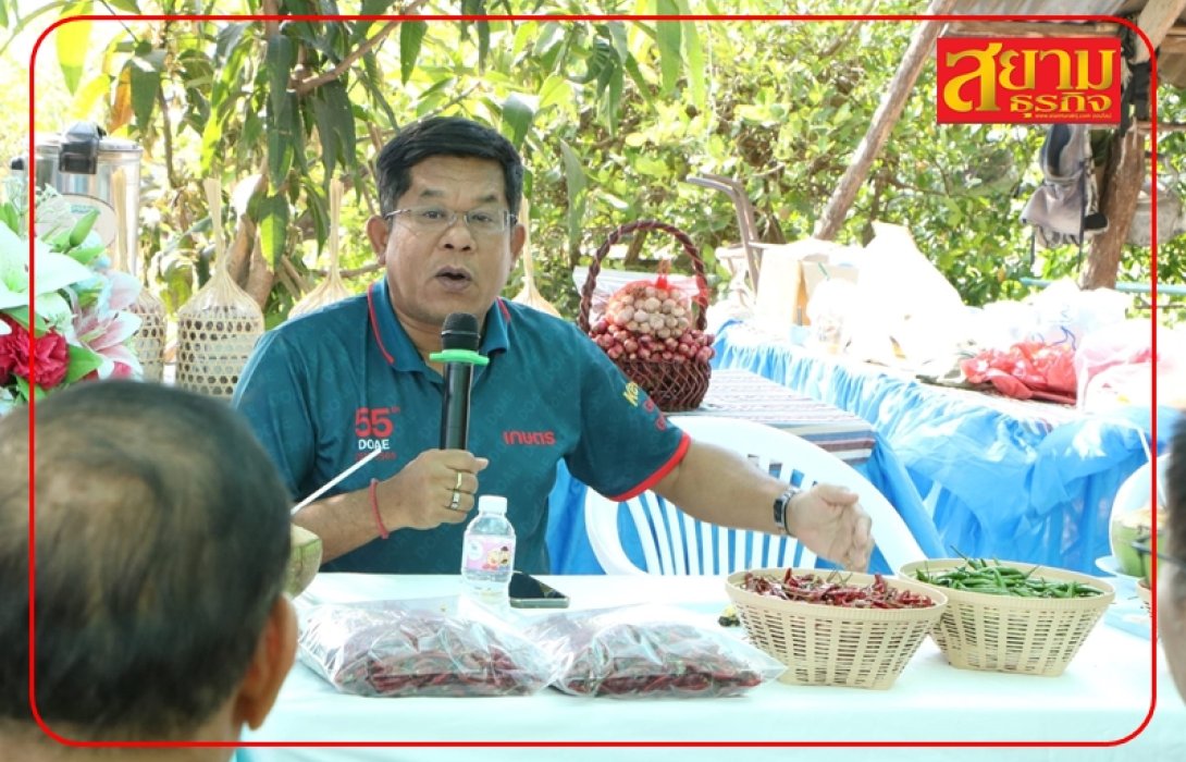 กรมส่งเสริมการเกษตร เผยตลาด Modern Trade ปลื้มคุณภาพพริกแปลงใหญ่ศรีสะเกษ เตรียมผลิตส่งขายอย่างต่อเนื่อง