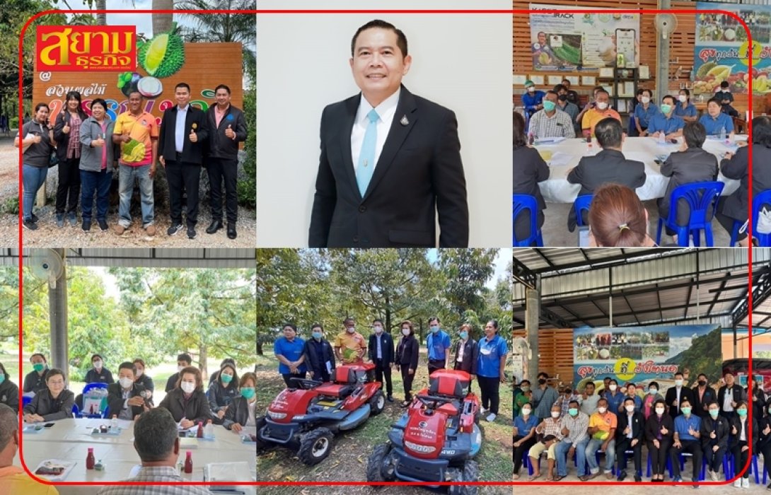 ประเมินแล้วดีมาก! โครงการยกระดับแปลงใหญ่ด้วยเกษตรสมัยใหม่ฯ    
