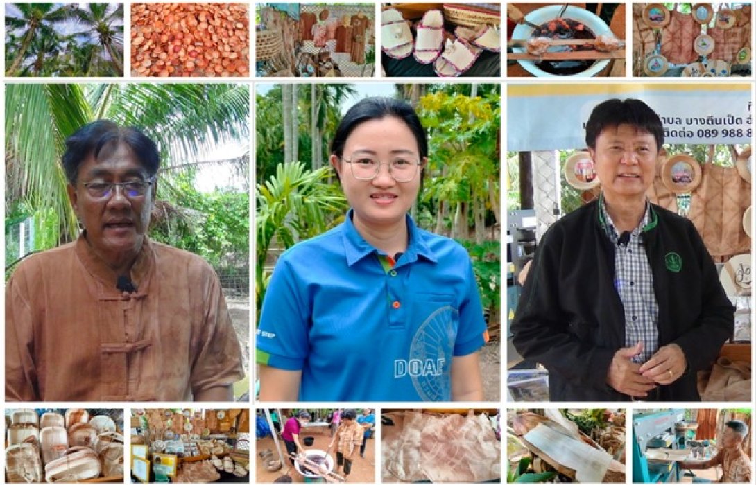 แปลงใหญ่หมาก-มะพร้าวตำบลบางตีนเป็ด ทำกาบหมากเป็นของใช้ในครัวเรือนเพิ่มมูลค่าผลิตภัณฑ์