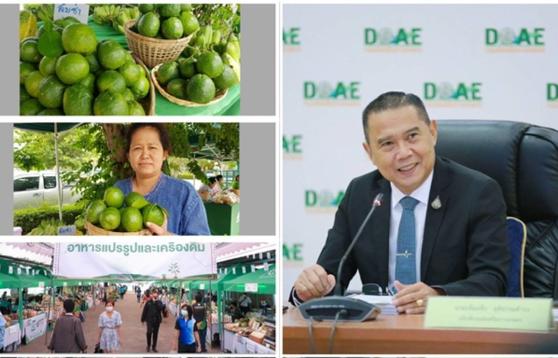 ‘กรมเกษตร’ ดันยอดขายรวมตลาดเกษตรกรออนไลน์ทะลุ 800 ล้านบาทสำเร็จ ชวนช้อปสินค้าเกษตรไทยมอบให้คุณแม่และคนที่รัก