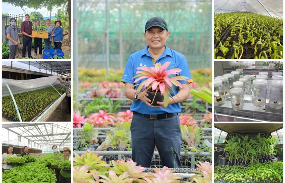 กรมส่งเสริมการเกษตร พร้อมแล้ว!! เปิดแพลตฟอร์มใหม่ พร้อมจำหน่ายพืชพันธุ์ดีทั่วประเทศ สั่งจองง่ายเพียงปลายนิ้วคลิก