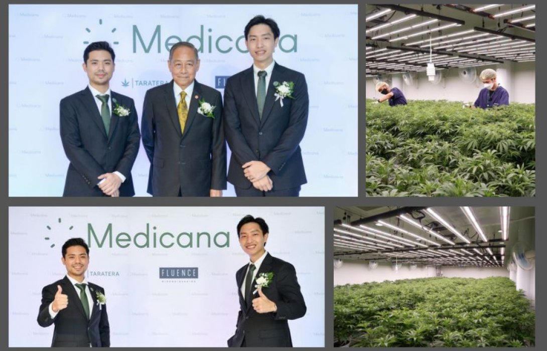2 ทายาทตระกูลดัง “พรประภา-ปราณีนิจ” ทุ่มกว่า 120 ล้านปั้น “เมดิคาน่า แล็บ”  ชู เทคโนโลยี  smart farming รุกธุรกิจกัญชา-กัญชง ผลักดันไทยสู่ฮับอาเซียน