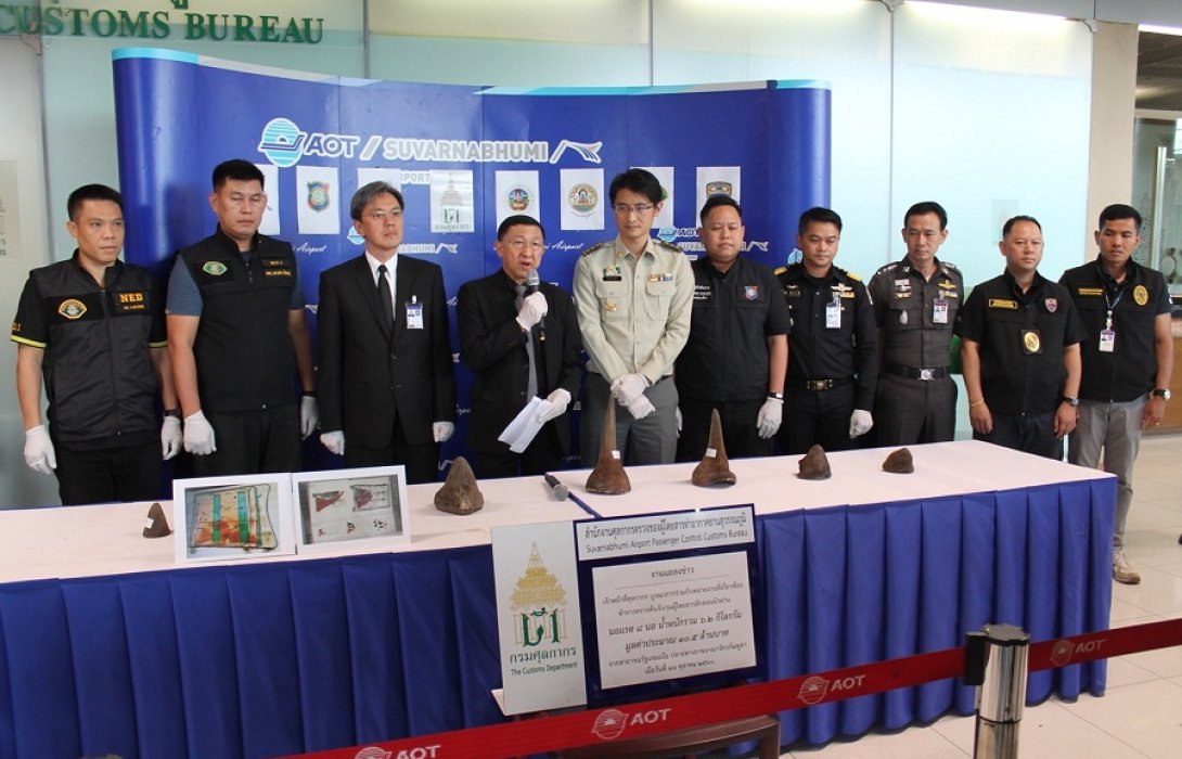 กรมศุลกากรแถลงผลตรวจยึดนอแรด 8 นอ น้ำหนักรวม 6.2 กิโลกรัม มูลค่าประมาณ 10 ล้านบาท