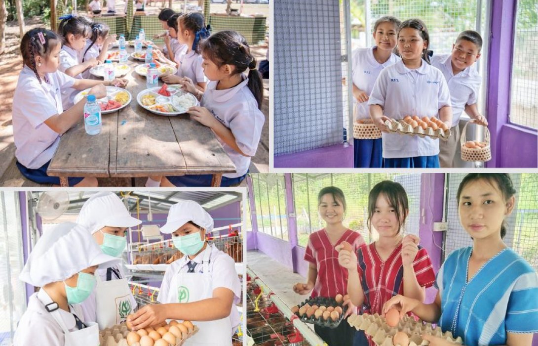 “ไข่ไก่” จากอาหารกลางวัน สู่โอกาสของเยาวชน