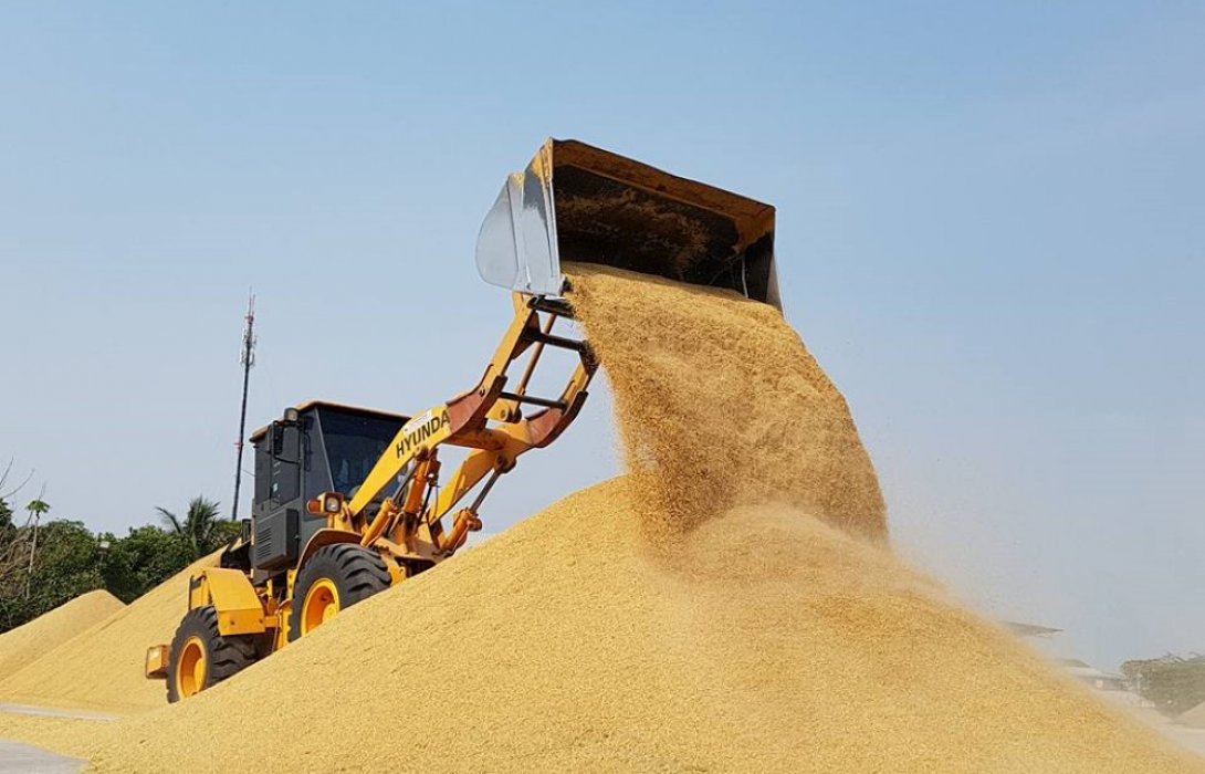 สหกรณ์นครปฐม...เชื่อมโยงตลาดข้าวแปลงใหญ่ สู่โรงงานขนมจีน