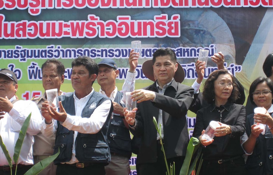 เกษตรฯป้องพื้นที่“ มะพร้าวอินทรีย์” ลุยปราบหนอนหัวดำแบบผสมผสาน