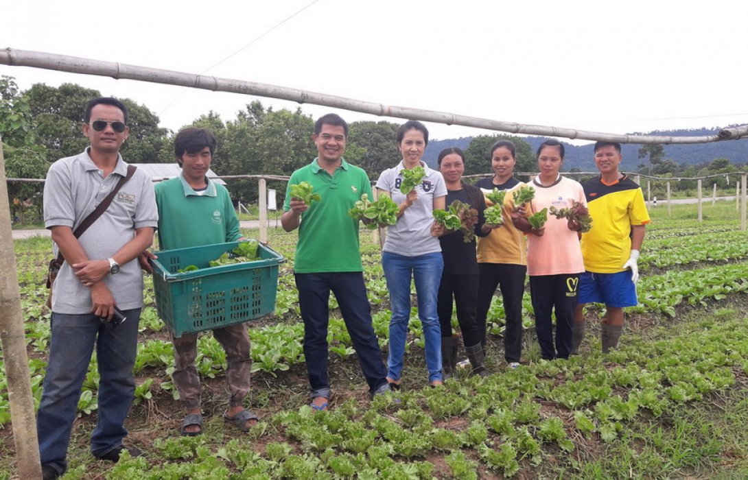 หนีกรุงมุ่งเกษตรอินทรีย์ ปลูกผักขายรายได้ดี“พยูงศักดิ์ ทวีกันย์”