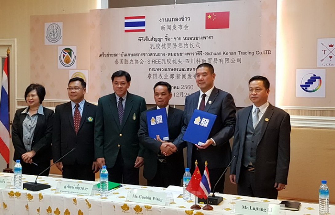 ชาวสวนยางเตรียมเฮ...“กระทรวงเกษตร” บูรณาการเครือข่ายเกษตรกรชาวสวนยาง