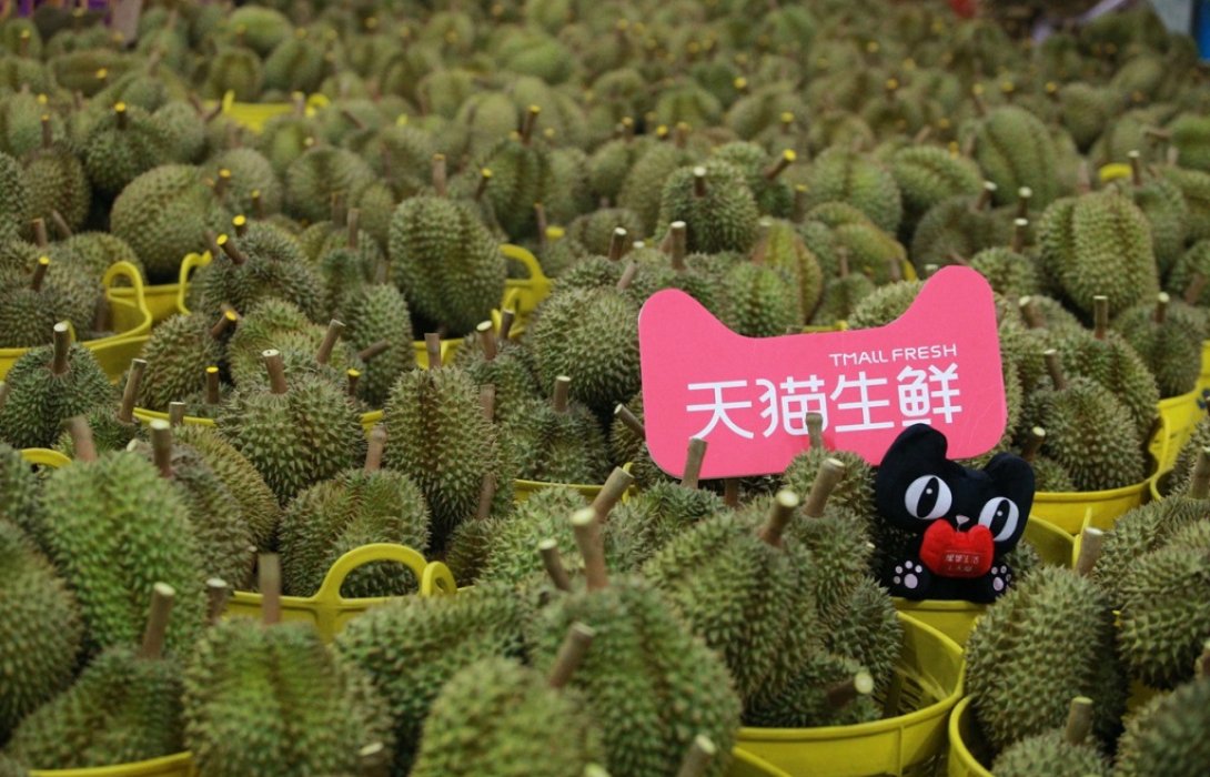 เส้นทางสินค้าเกษตรคุณภาพส่งออกของไทยสู่ตลาดจีน