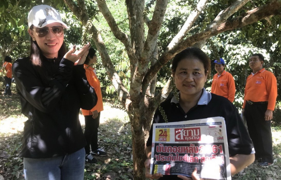 สวน 'สอนจ้า' ประทับใจ ปุ๋ยอินทรีย์ ปลูกลองกอง ลูกดก ใหญ่ ดี ขายง่ายได้กำไร 