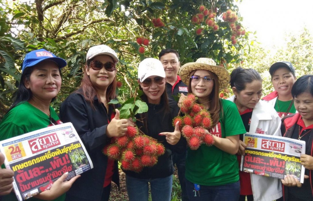 “ปุ๋ยอินทรีย์” ตอบโจทย์ผลไม้เมืองจันท์ ดัน เงาะผลงาม ขนสวย ส่งขายได้กำไร   