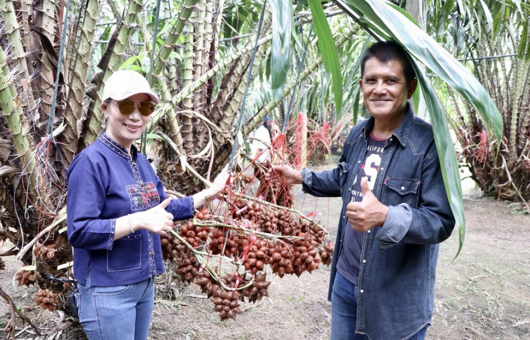 สละ สุมาลี“กองจินดา” เน้นอินทรีย์เต็มระบบ เพื่อสุขภาพผู้บริโภค