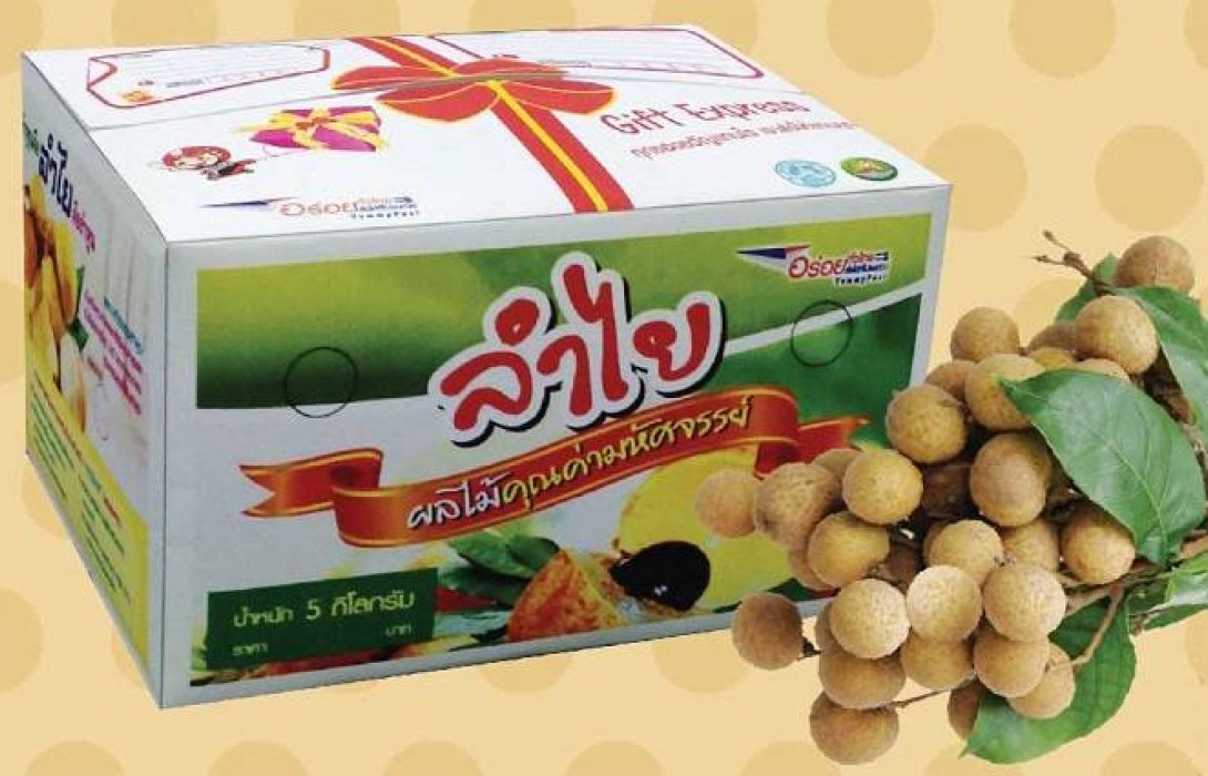 ลำไยประตูป่ายอดพุ่ง 800 ตัน สหหรณ์ช่วยกระจายทั่วไทย