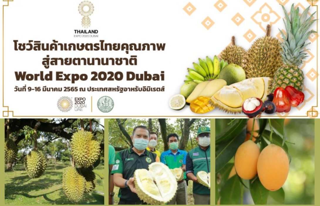 “เกษตร” เตรียมโชว์ศักยภาพภาคเกษตรไทยสู่สายตาชาวโลกในงาน World Expo 2020 Dubai หวังต่อยอดส่งออกสินค้าเกษตรไทยในตลาดตะวันออกกลาง