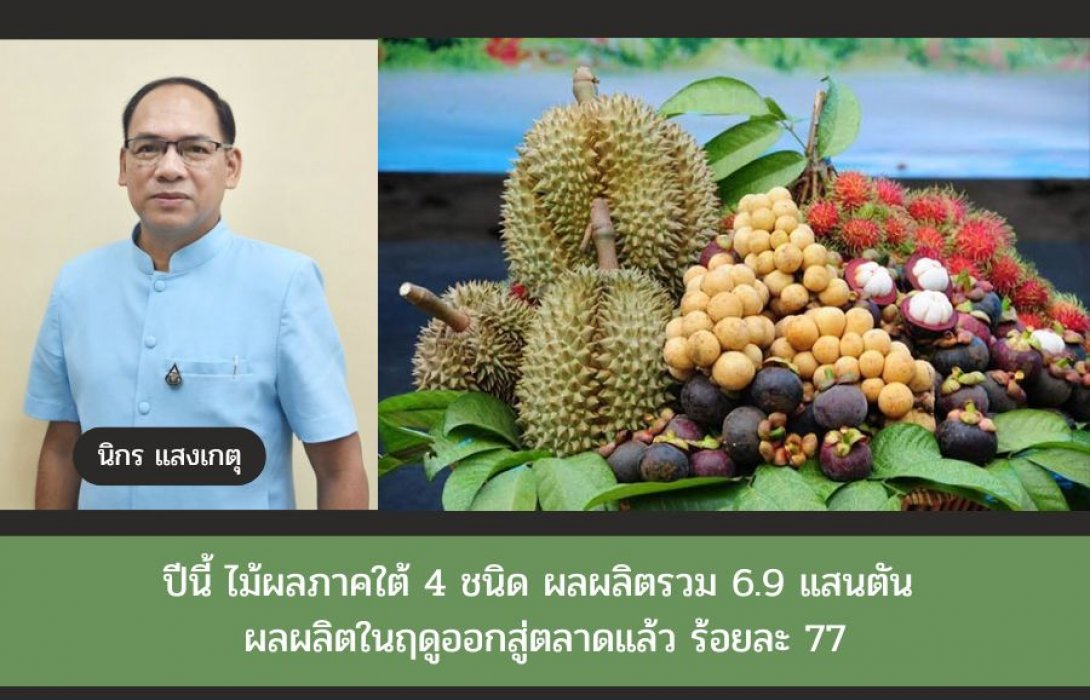 ปีนี้ ไม้ผลภาคใต้ 4 ชนิด ผลผลิตรวม 6.9 แสนตัน ผลผลิตในฤดูออกสู่ตลาดแล้ว ร้อยละ 77