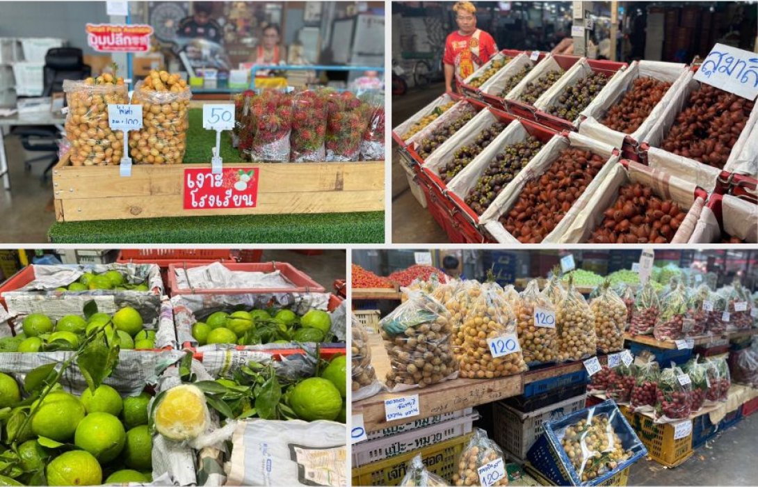 ตลาดสี่มุมเมือง ผนึก พันธมิตรภาครัฐ เปิดเทศกาล ‘สี่มุมเมือง ไทยฟรุตเฟส 2025’” เทศกาลผลไม้ไทยสด ส่งตรงจากสวน สู่ตลาดค้าส่งอันดับหนึ่ง เชื่อมเกษตรกร–ผู้ค้า–ผู้บริโภค 