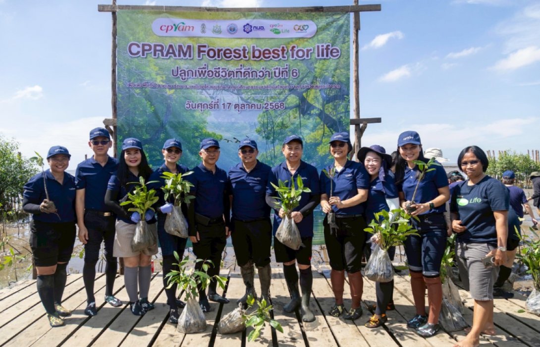 ซีพีแรม (ลาดกระบัง) เดินหน้าฟื้นฟูป่าชายเลน สร้างสมดุลธรรมชาติ สอดคล้องการพัฒนายั่งยืนองค์การสหประชาชาติ (SDGs)