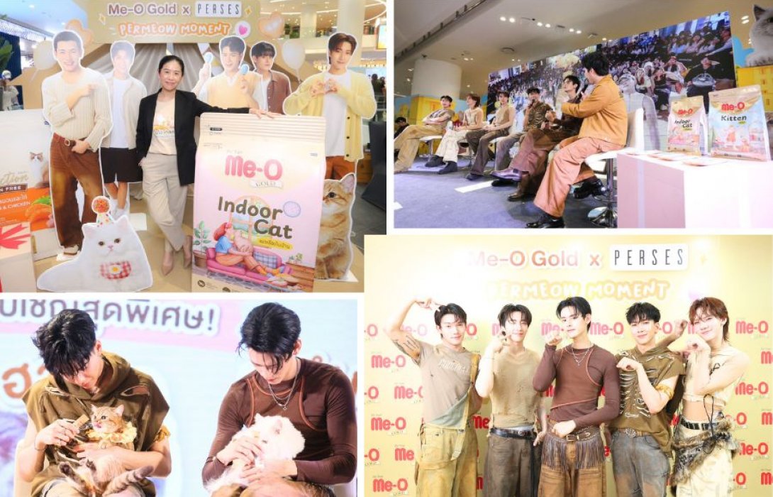 Me-O Gold ดึง PERSES นั่งแท่น Presenter ครั้งแรกของแบรนด์ เอาใจทาสแมวสายเปย์ ด้วยมีโอ โกลด์สูตรที่ใช่ของเจ้าเหมียวในงาน Me-O Gold × PERSES PERMEOW MOMENT