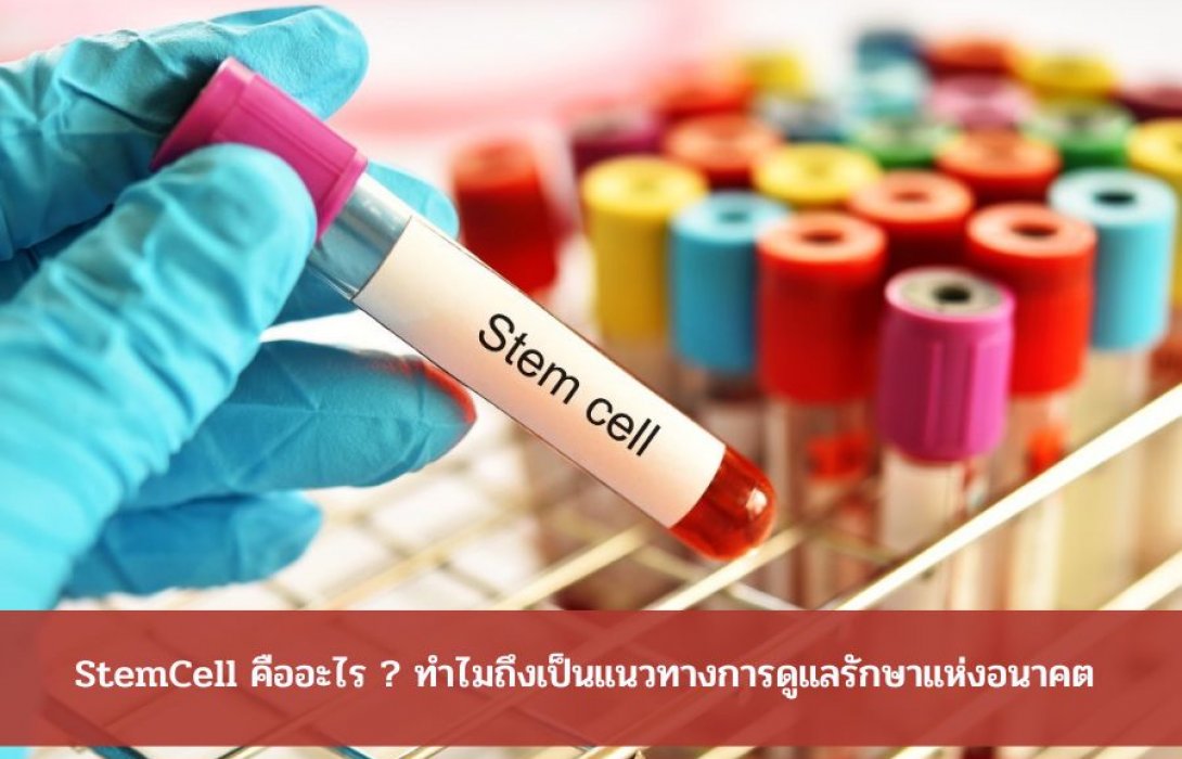 StemCell คืออะไร ? ทำไมถึงเป็นแนวทางการดูแลรักษาแห่งอนาคต