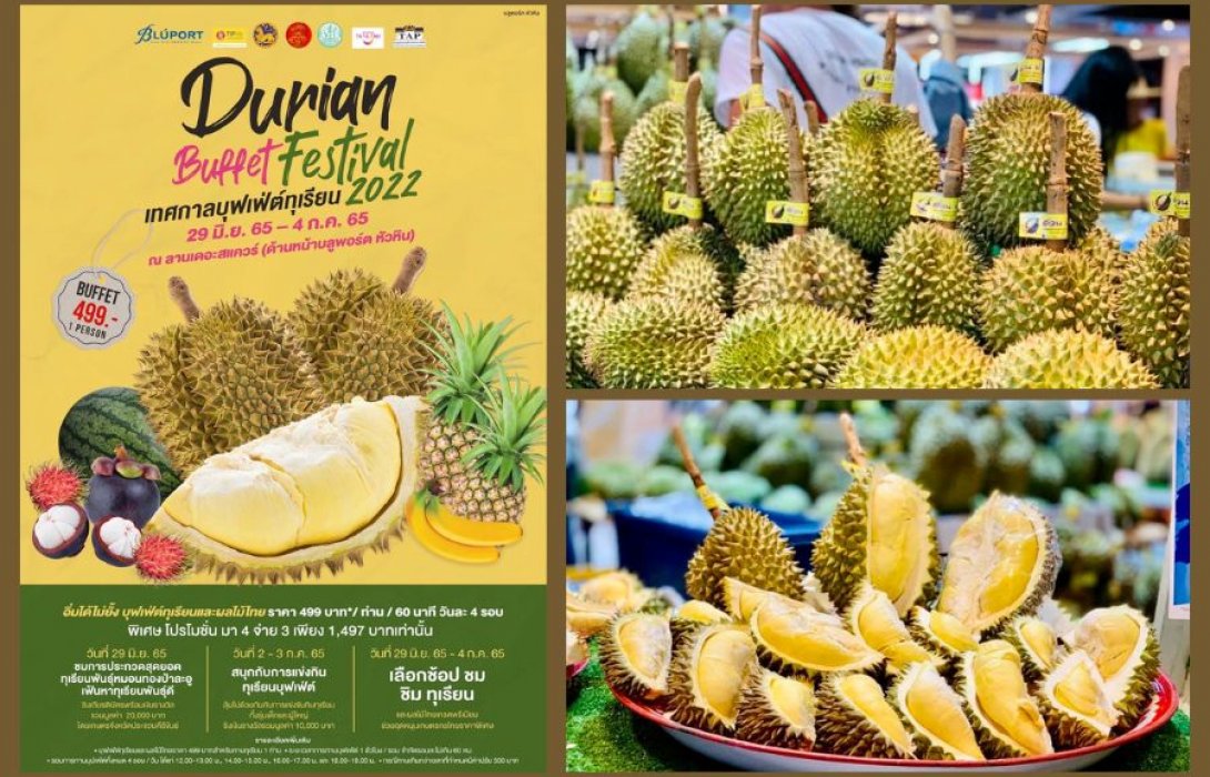 “บลูพอร์ต หัวหิน” จัดงาน “Durian Buffet Festival 2022” เทศกาลบุฟเฟ่ต์ทุเรียนเอาใจทุเรียนเลิฟเวอร์ชวนมาแข่งกินชิงรางวัล 