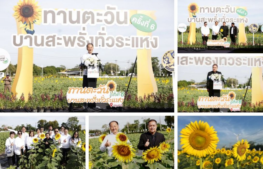 ซีพีแรม ชวนเช็กอินทุ่งทานตะวัน 5 ไร่ ใกล้กรุงเทพฯ เพียง 45 นาที กับ “ทานตะวันบานสะพรั่งทั่วระแหง ครั้งที่ 6” ชวนสัมผัสทุ่งทานตะวันรับลมหนาว เสริมแกร่งเศรษฐกิจฐานรากยั่งยืน