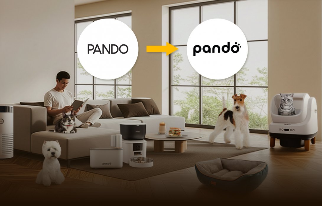 pando ประกาศรีแบรนด์ครั้งใหญ่ในรอบ 5 ปี จับมือ Rabbit Rewards พร้อมเปิดตัวช่องทางช็อปออนไลน์ 