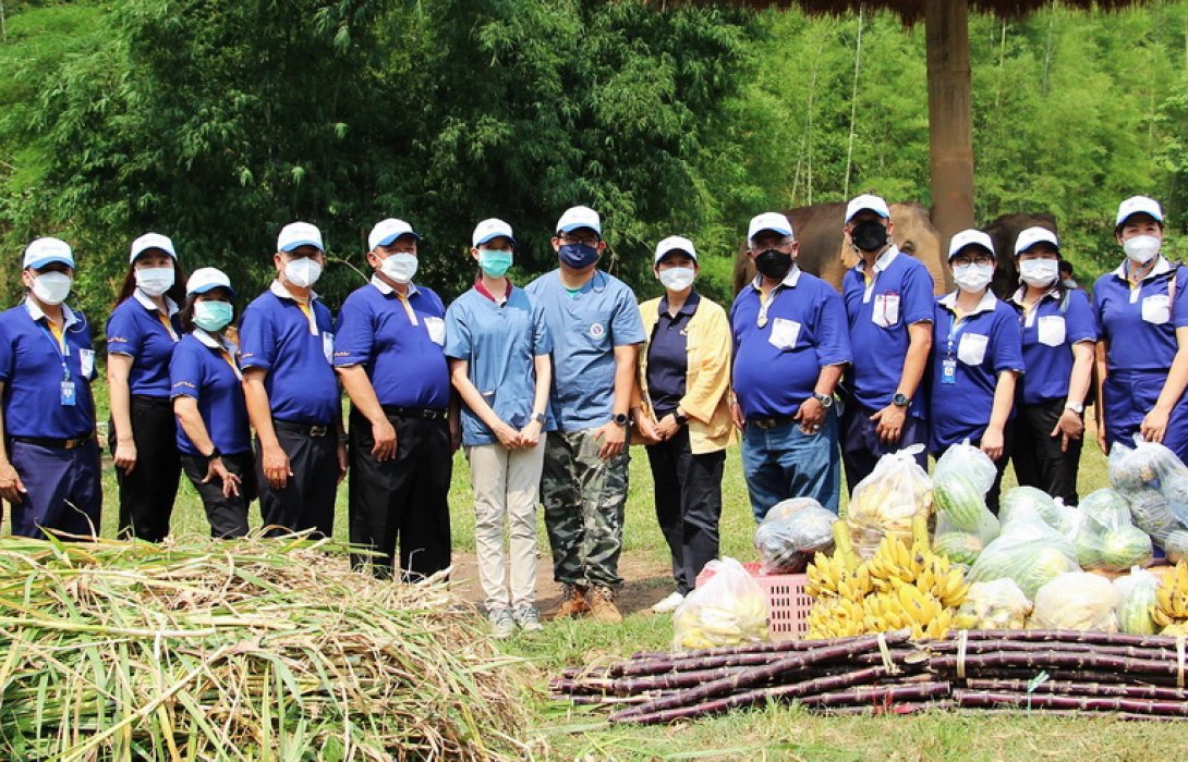วิริยะประกันภัย-คณะสัตวแพทยศาสตร์ มช.ลงพื้นที่แก้ปัญหาช้าง เดินหน้าสร้างเครือข่ายเกษตรกร”ปลูกหญ้าคุณภาพ”
