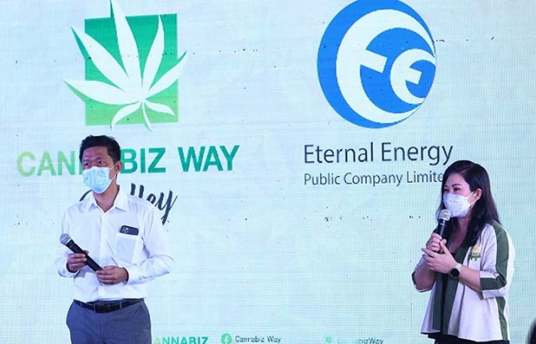EE เริ่มขายผลผลิตกัญชง มี.ค.-เล็งลงทุนเพิ่มสินค้า-supply