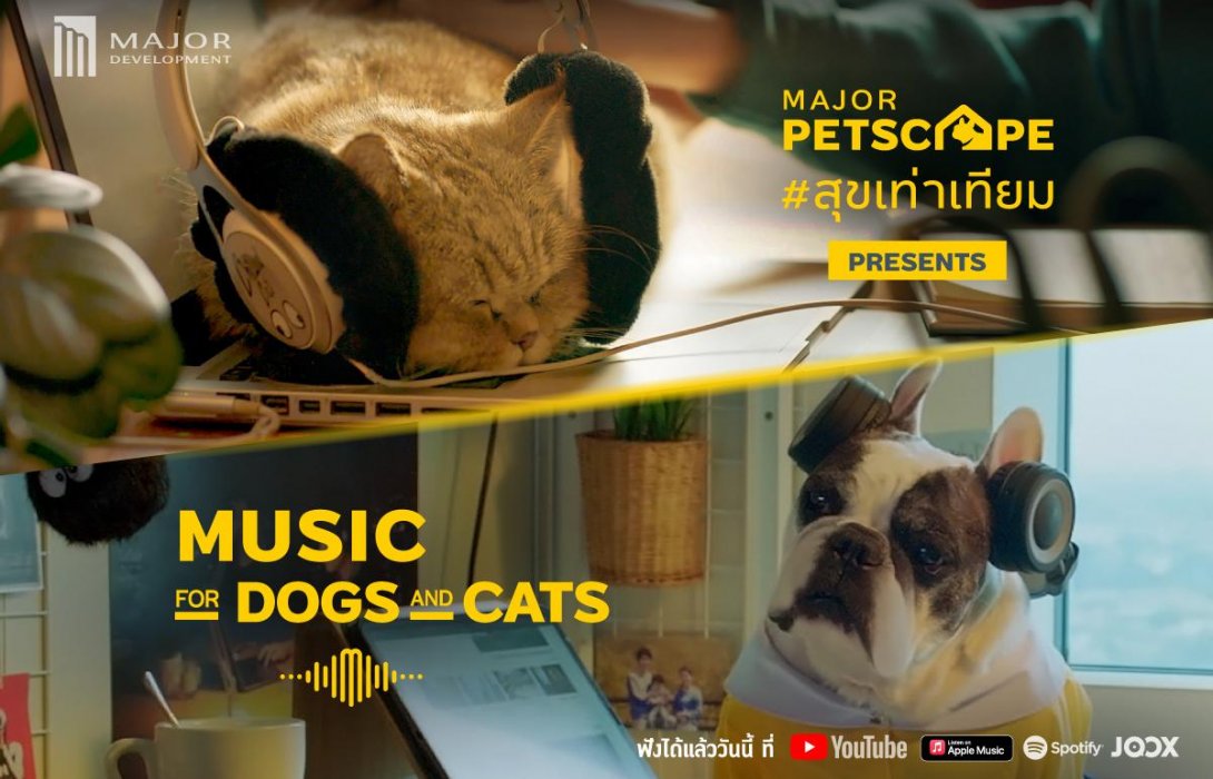 ฟังได้ทั้งคนและหมาแมว! เมเจอร์ ดีเวลลอปเม้นท์ เปิดตัว “Music for Dogs & Cats”  