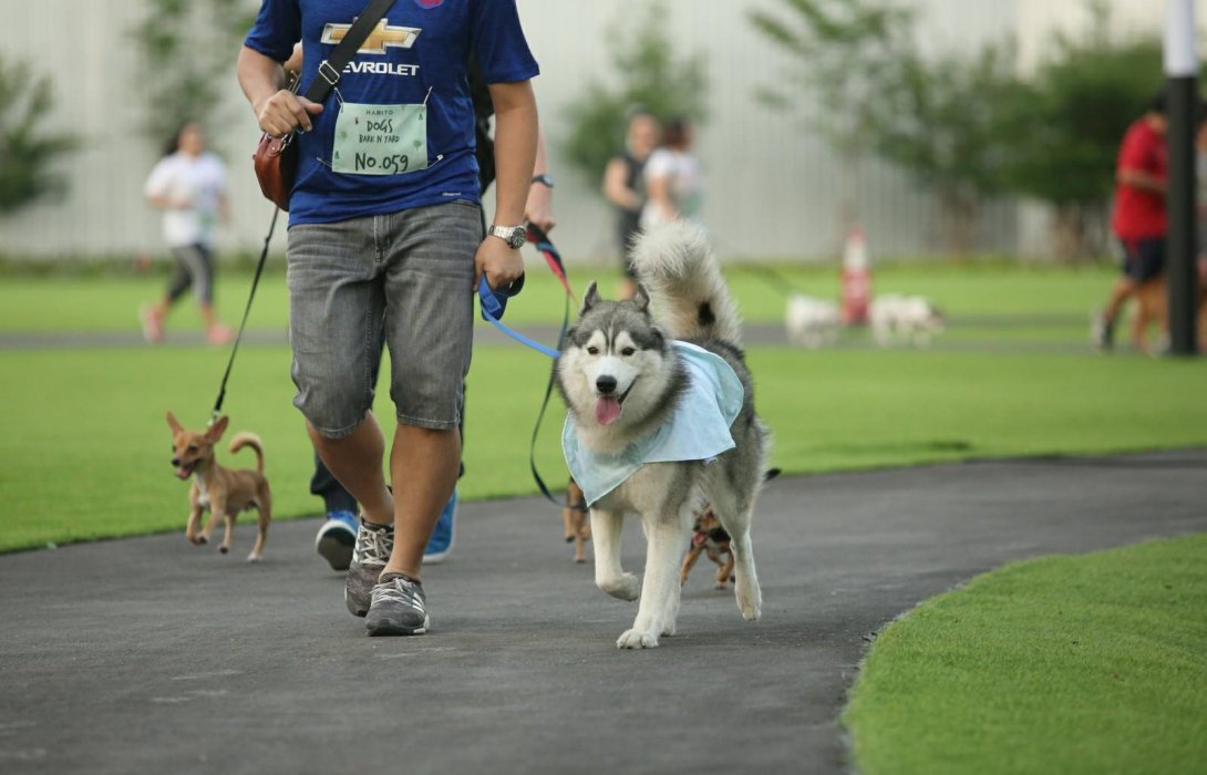 ครั้งแรก! “SANSIRI SPOOKY RUN FUN COMMUNITY”สนุกกับงานวิ่งมินิมาราธอนของคนและน้องหมา 