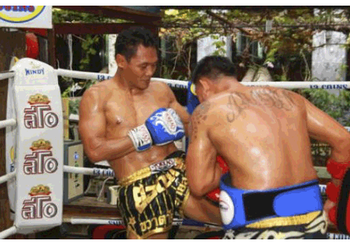 มวยไทยวอริเออร์สขึ้นเหนือ 3 ยอดมวยปะทะต่างชาติ